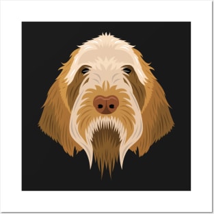 Spinone Italiano Posters and Art